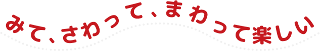 みて、さわって、まわって楽しい